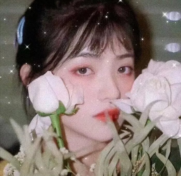 玉麒麟卢俊义